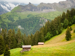 Gimmelwald, Swiss Alps