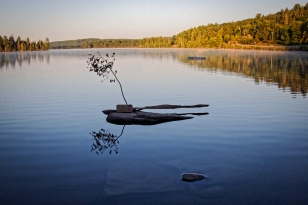 Still Life, lake of Two Rivers; Algonquin Park