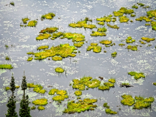 Pond, Algpnquin Provincial Park